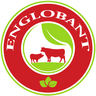 ENGLOBANT